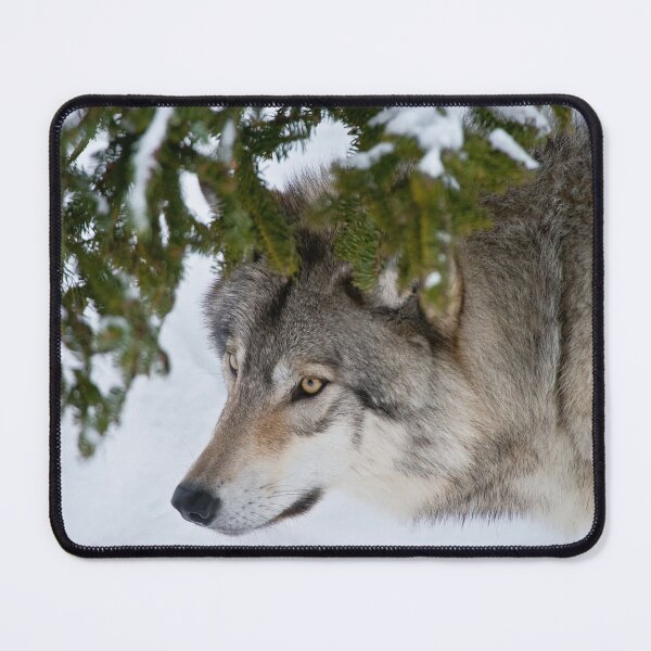 Item preview, Timber Wolf designed and sold by Michael Cummings.