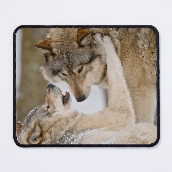 Item preview, Gray Wolves designed and sold by Michael Cummings.