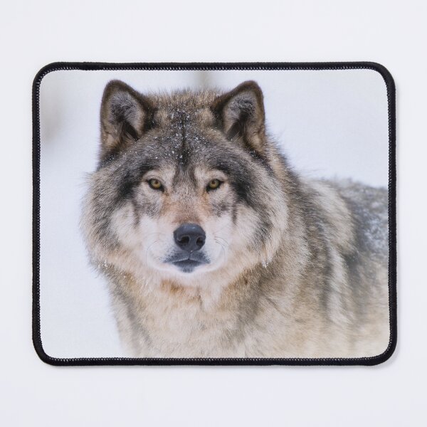 Item preview, Timber Wolf designed and sold by Michael Cummings.