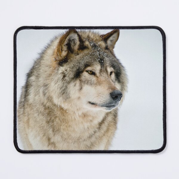 Item preview, Gray Wolf designed and sold by Michael Cummings.