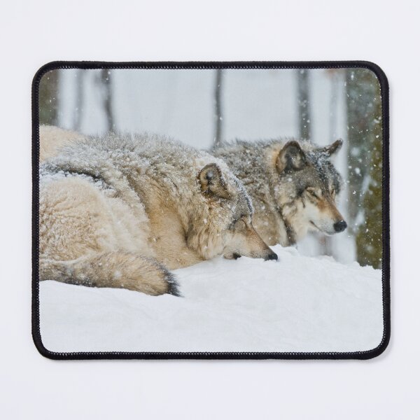Item preview, Gray Wolves designed and sold by Michael Cummings.