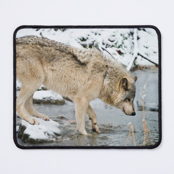 Item preview, Grey Wolf designed and sold by Michael Cummings.