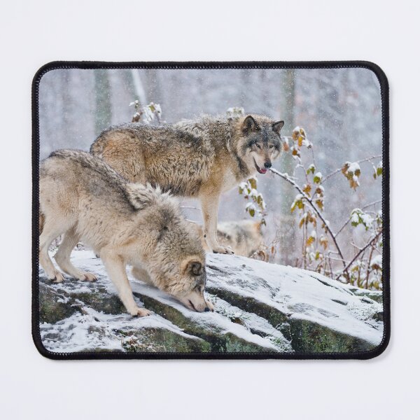Item preview, Gray Wolves designed and sold by Michael Cummings.