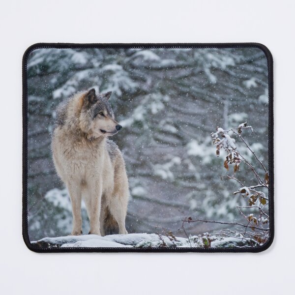 Item preview, Gray Wolf designed and sold by Michael Cummings.