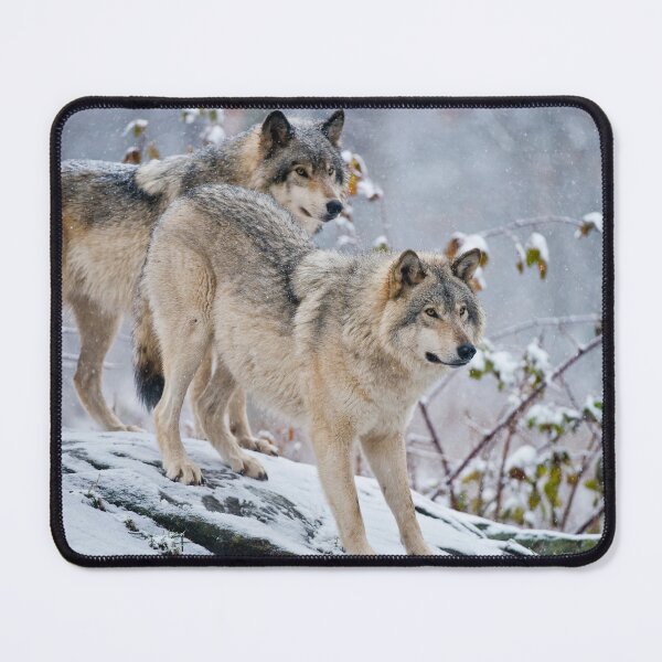 Item preview, Gray Wolves designed and sold by Michael Cummings.