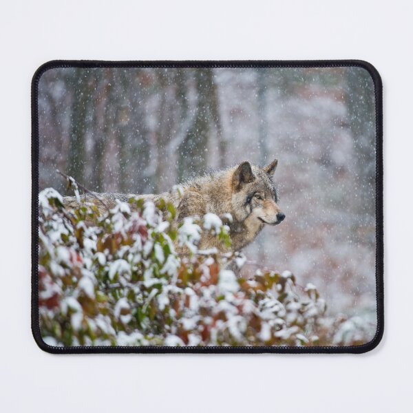 Item preview, Timber Wolf designed and sold by Michael Cummings.