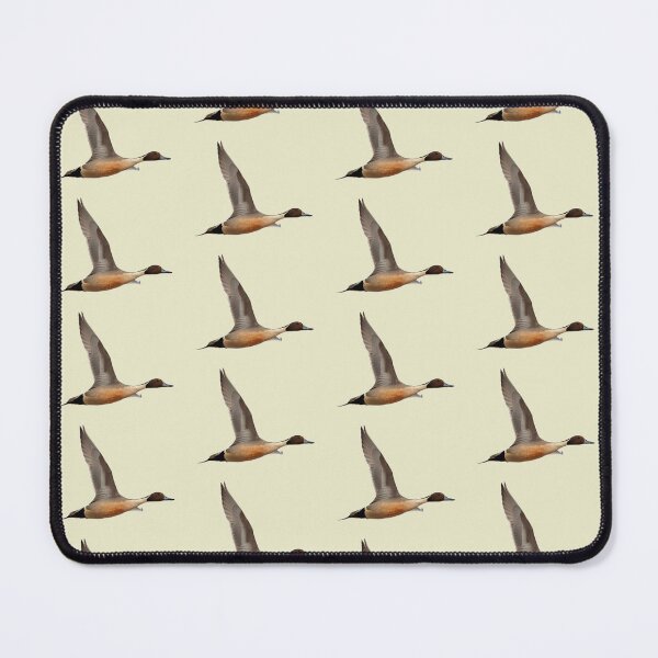 Item preview, Pintail in Flight designed and sold by Whisperingpeaks.