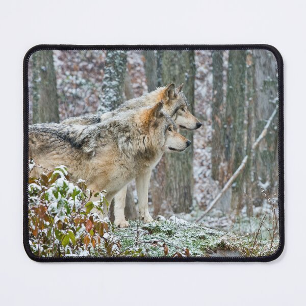 Item preview, Timber Wolves In Snowstorm designed and sold by Michael Cummings.
