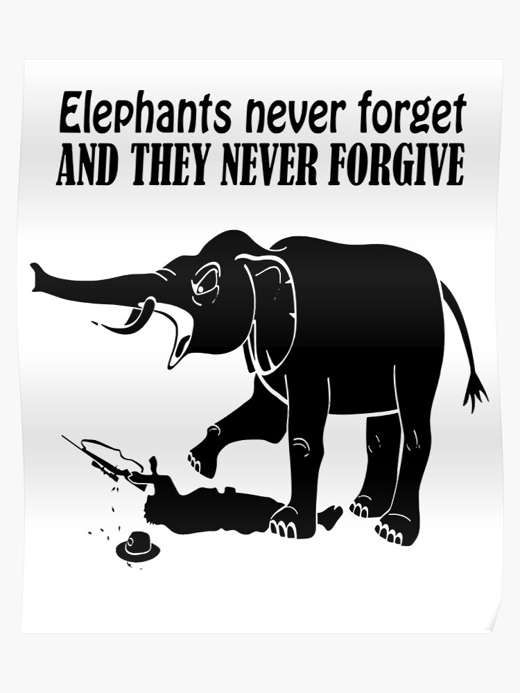 elephants-never-forget-let-s-not-forget-about-them-the-globe-and-mail