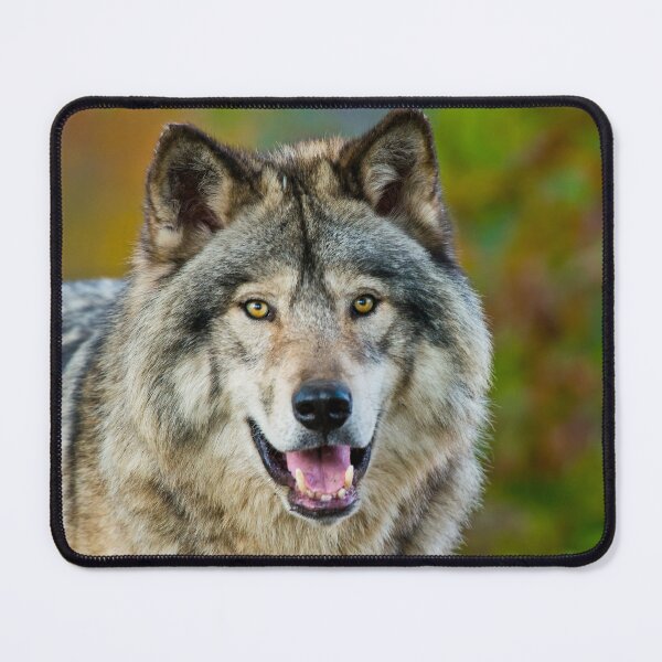 Item preview, Timber Wolf designed and sold by Michael Cummings.