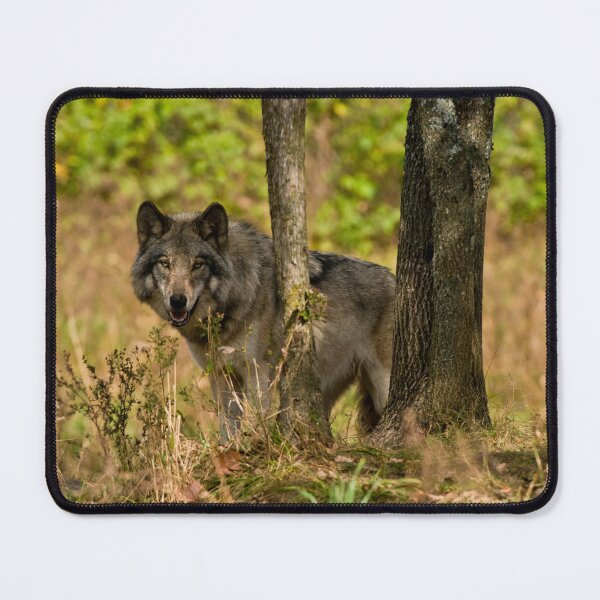 Item preview, Grey Wolf designed and sold by Michael Cummings.