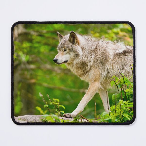 Item preview, Timber Wolf designed and sold by Michael Cummings.