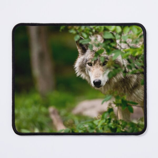Item preview, Grey Wolf designed and sold by Michael Cummings.
