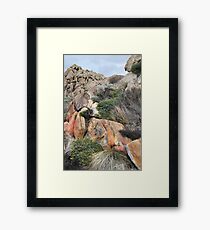 Colours in Nature Framed Print