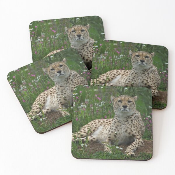Item preview, Cheetah Amidst Spring Flowers designed and sold by rawshutterbug.