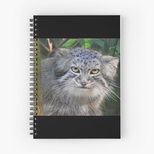 Item preview, Pallas' Cat: Catitude  designed and sold by andrew82984.