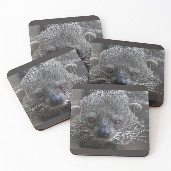 Item preview, Binturong designed and sold by andrew82984.