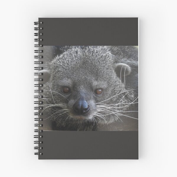 Item preview, Binturong designed and sold by andrew82984.
