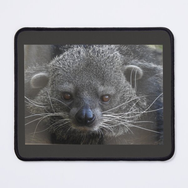 Item preview, Binturong designed and sold by andrew82984.
