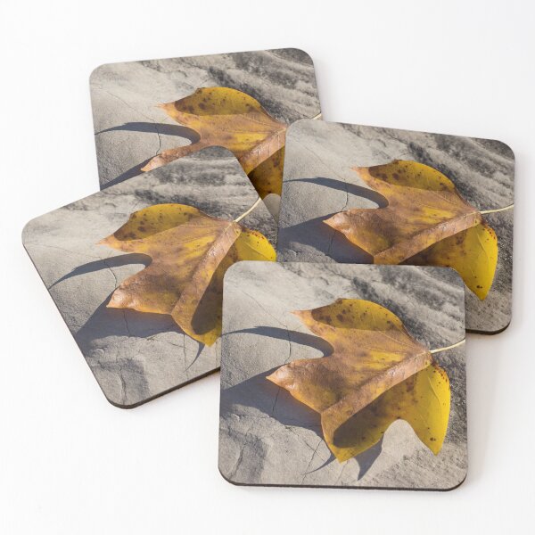 Item preview, Tulip Tree Leaf - Shadow and Light designed and sold by Georgia Mizuleva.