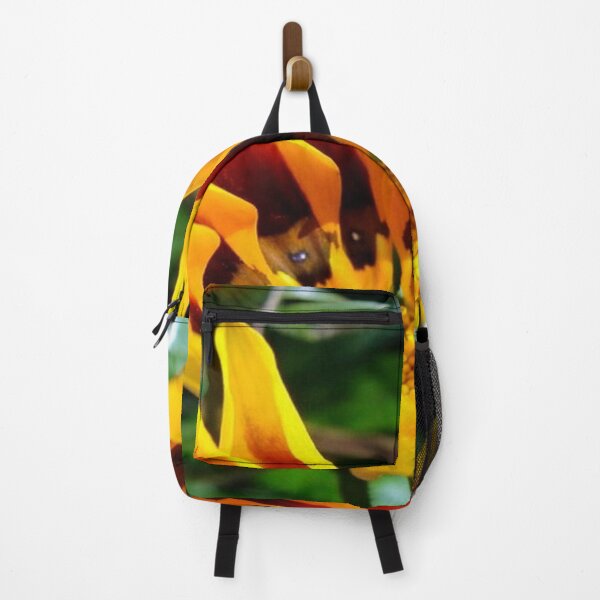 Item preview, Yellow and Red Gazania Rigens Flower Close Up designed and sold by taiche.