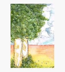 Outback Gumtrees Photographic Print