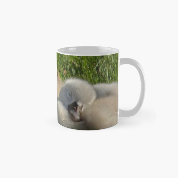Nap time Classic Mug