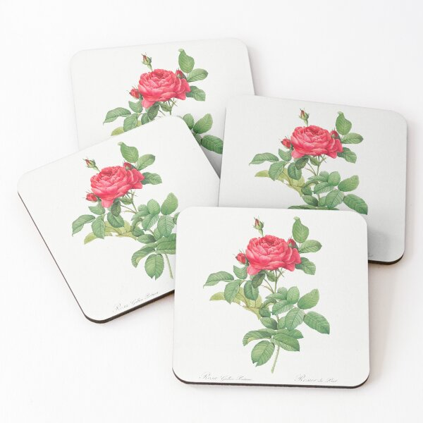 Item preview, Rosa gallica pontiana by Pierre-Joseph Redouté designed and sold by Bouchra-Shop93.