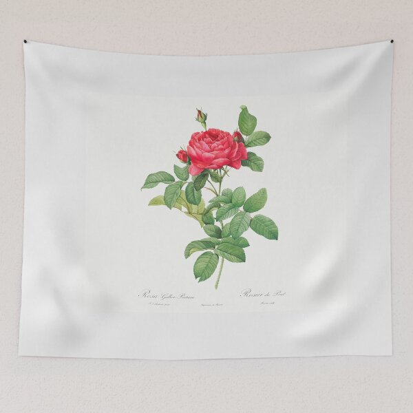 Item preview, Rosa gallica pontiana by Pierre-Joseph Redouté designed and sold by Bouchra-Shop93.