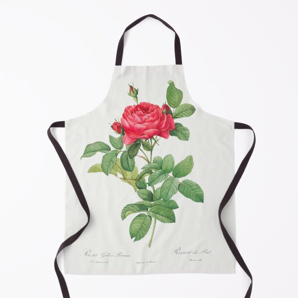 Item preview, Rosa gallica pontiana by Pierre-Joseph Redouté designed and sold by Bouchra-Shop93.