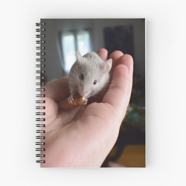 Item preview, Mouse and Almond 2 designed and sold by Furiarossa.