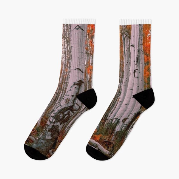 Item preview, Aspen trees, Owl Creek Pass designed and sold by Vsaditya2020.