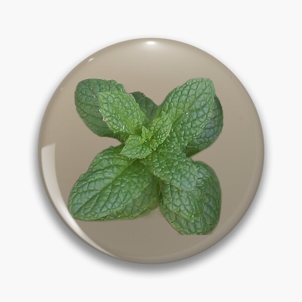 Item preview, Mint - Photography  designed and sold by mindmaster007.