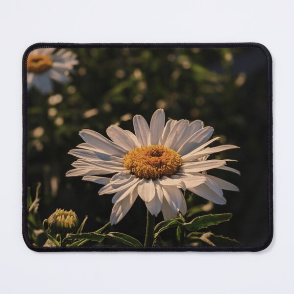 Item preview, Dreaming of Daisies   designed and sold by SamDanson66.