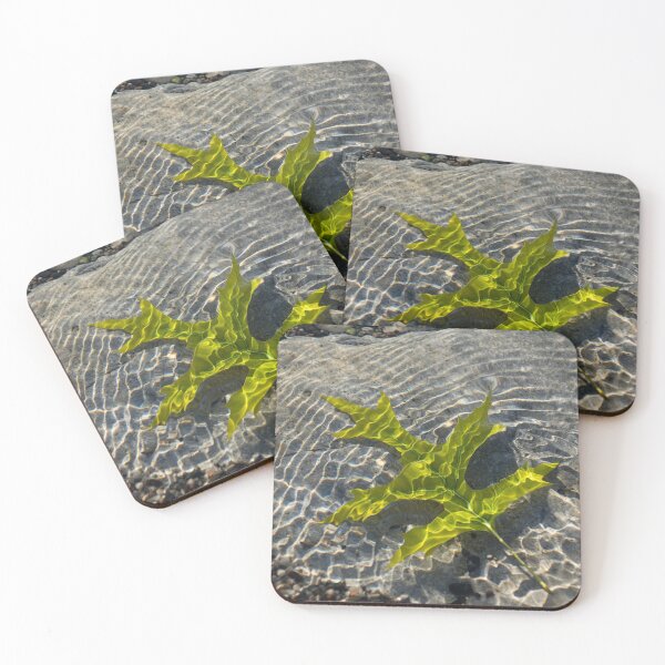 Item preview, Green Sunshine - a Jade Colored Oak Leaf on the Rocks designed and sold by Georgia Mizuleva.