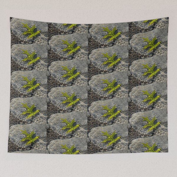 Item preview, Green Sunshine - a Jade Colored Oak Leaf on the Rocks designed and sold by Georgia Mizuleva.