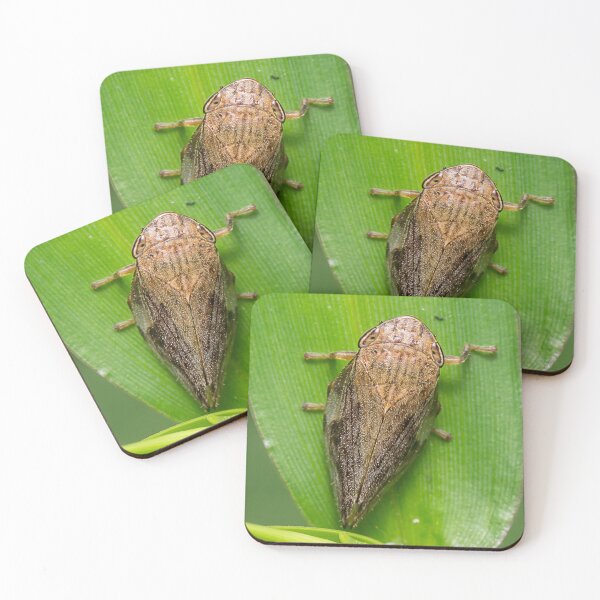 Item preview, Unique and organic photo of a planthopper designed and sold by AvonPerception.