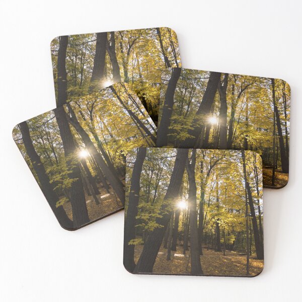 Item preview, Sun Spotting Autumn - a Peaceful Forest in the Fall designed and sold by Georgia Mizuleva.