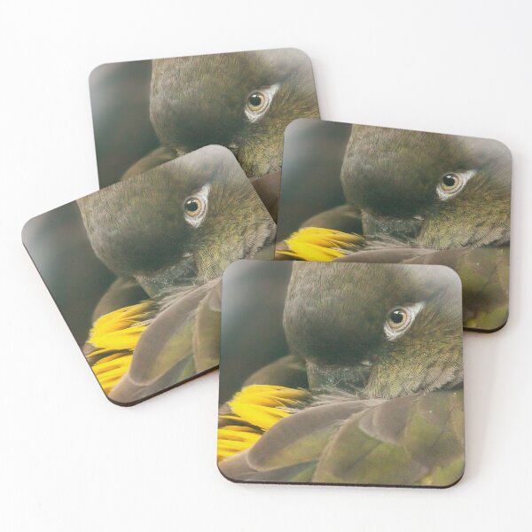 Item preview, Burrowing Parrot designed and sold by Dominika Aniola.