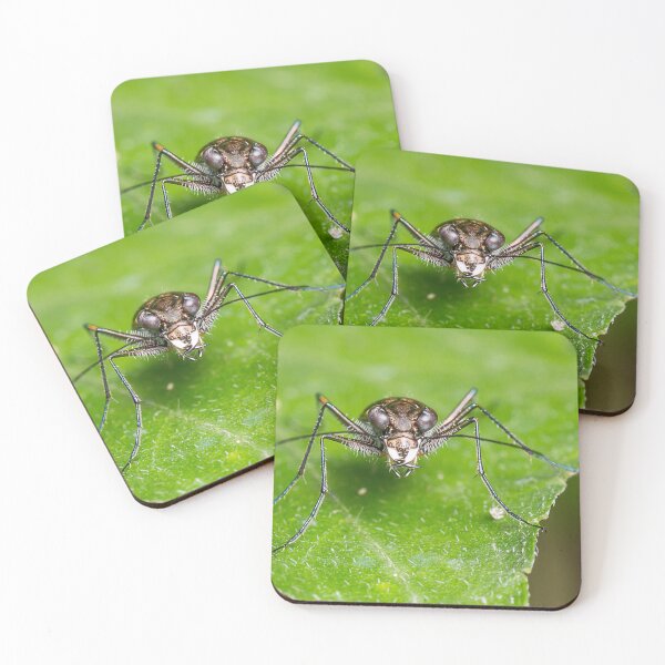 Item preview, Unique and organic photo of a tiger beetle designed and sold by AvonPerception.