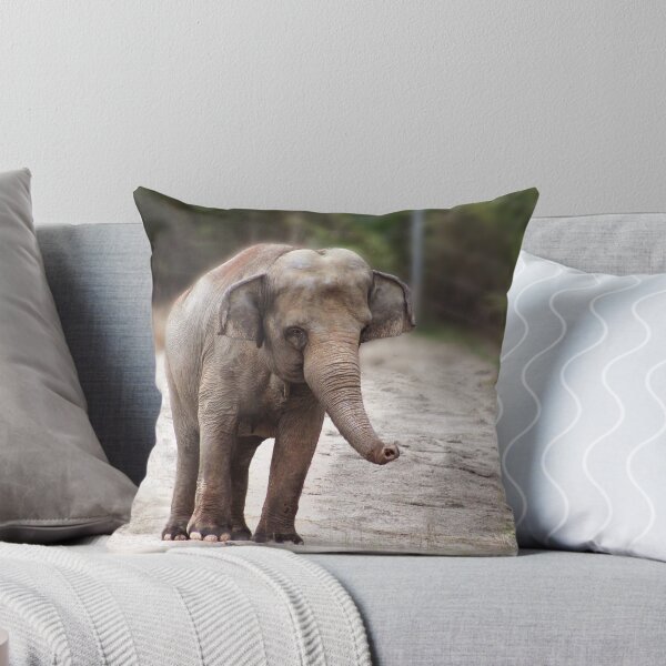 Item preview, baby elephant designed and sold by Jenifer.