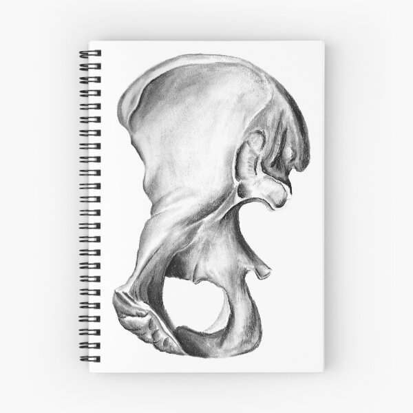 Item preview, Posterior Right Os Coxae designed and sold by Cecily Paldino.