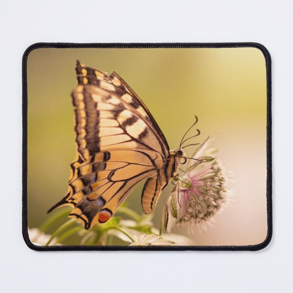 Item preview, Butterfly Papilio machaon designed and sold by Catrinann.