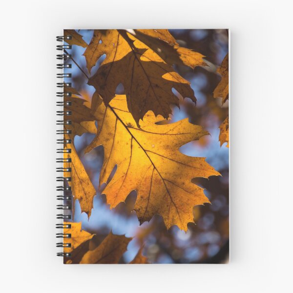 Item preview, Glowing Autumn - Golden Oak Leaf designed and sold by Georgia Mizuleva.