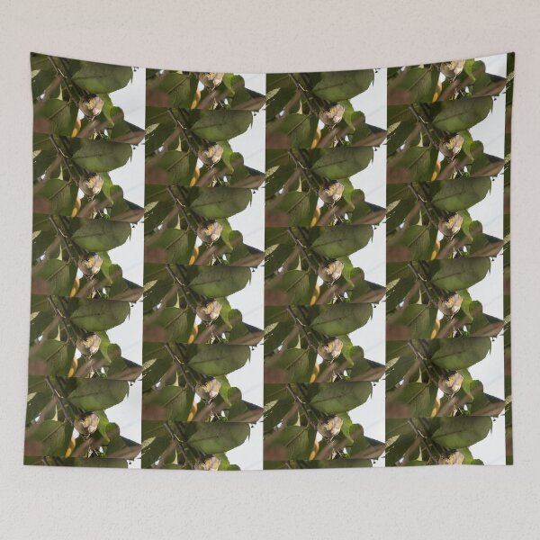 Item preview, Eye Spy Silvereye... designed and sold by Shae Nechwatal.