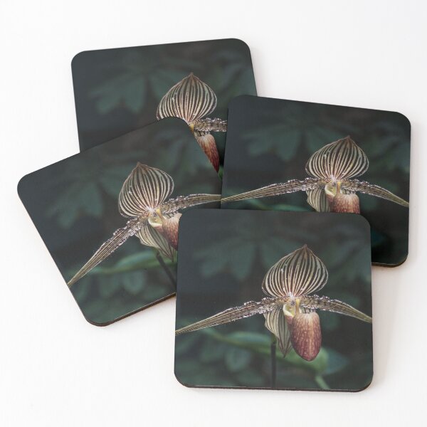 Item preview, Exotic Dark Beauty in Stripes designed and sold by Georgia Mizuleva.