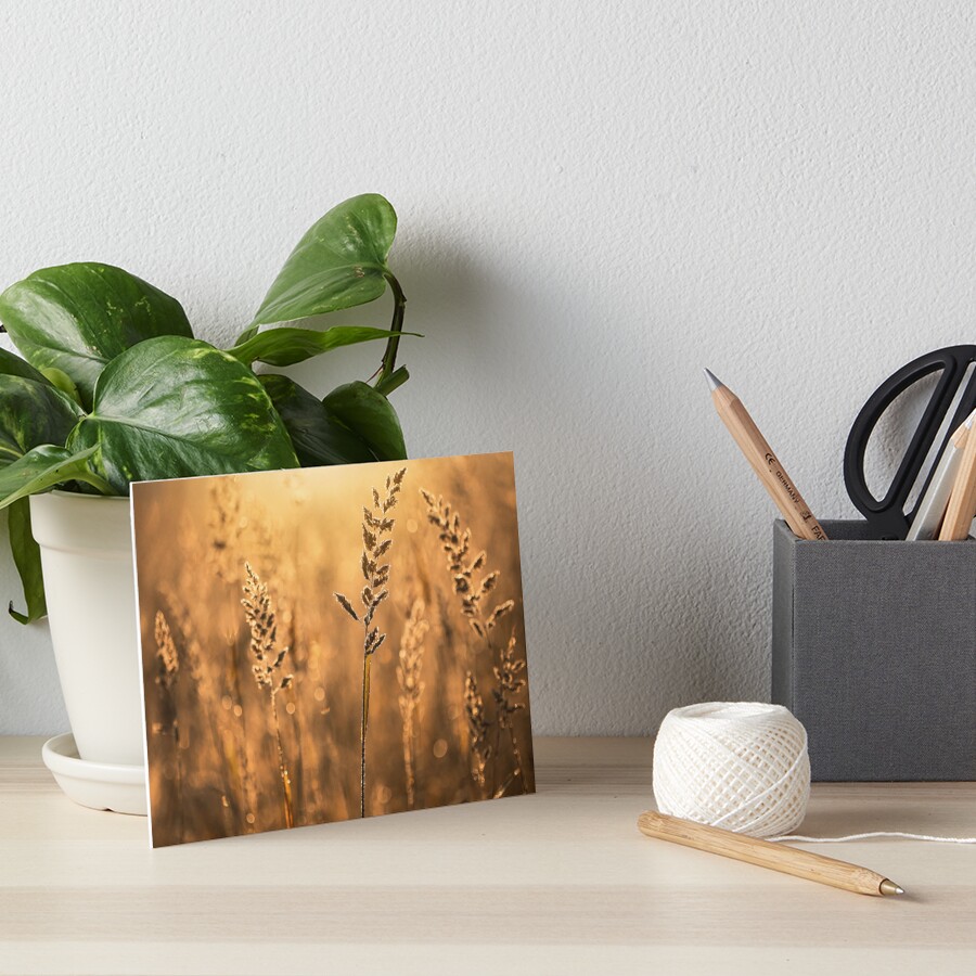 Item preview, Art Board Print designed and sold by Catrinann.