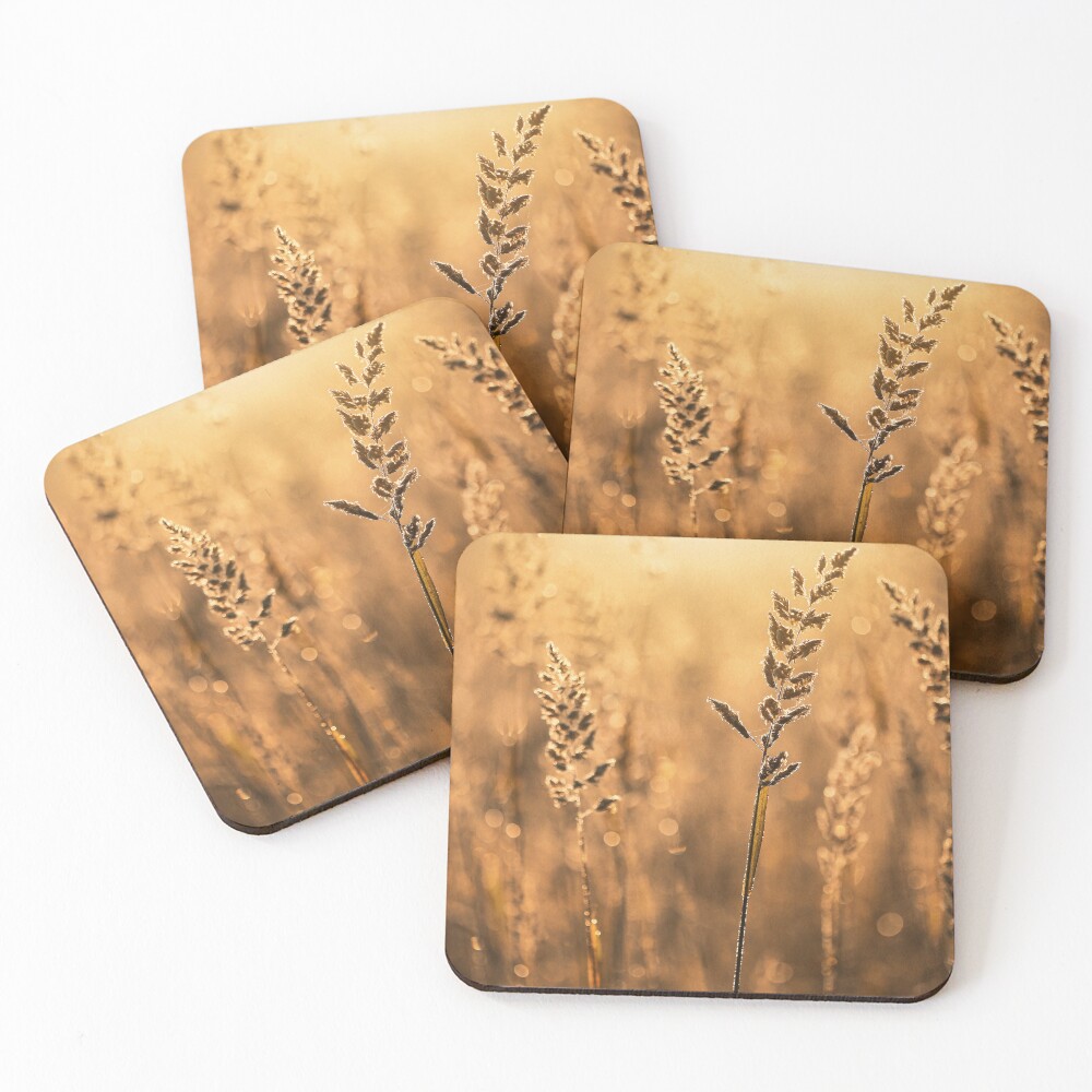 Item preview, Coasters (Set of 4) designed and sold by Catrinann.