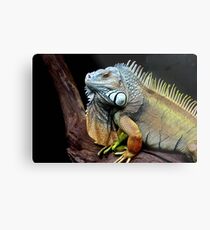 Who's that creeping up on me? Metal Print