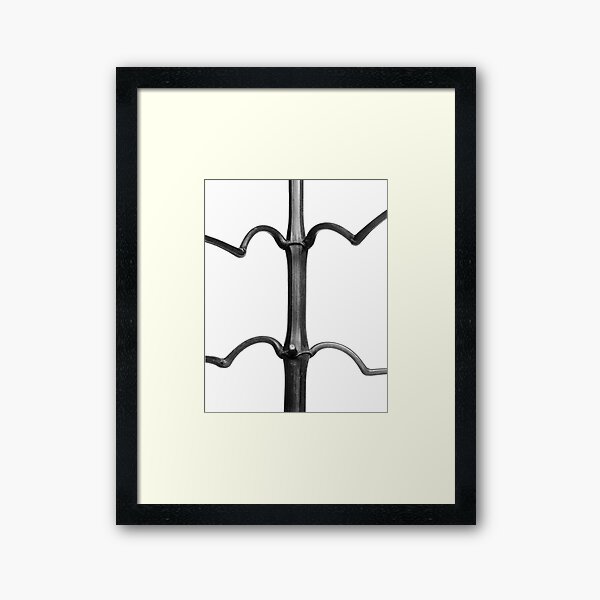 Item preview, Karl Blossfeldt Botanical Print II designed and sold by Vintage Wall Art.